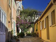 183 D23 BORMES LES MIMOSAS 1_000009